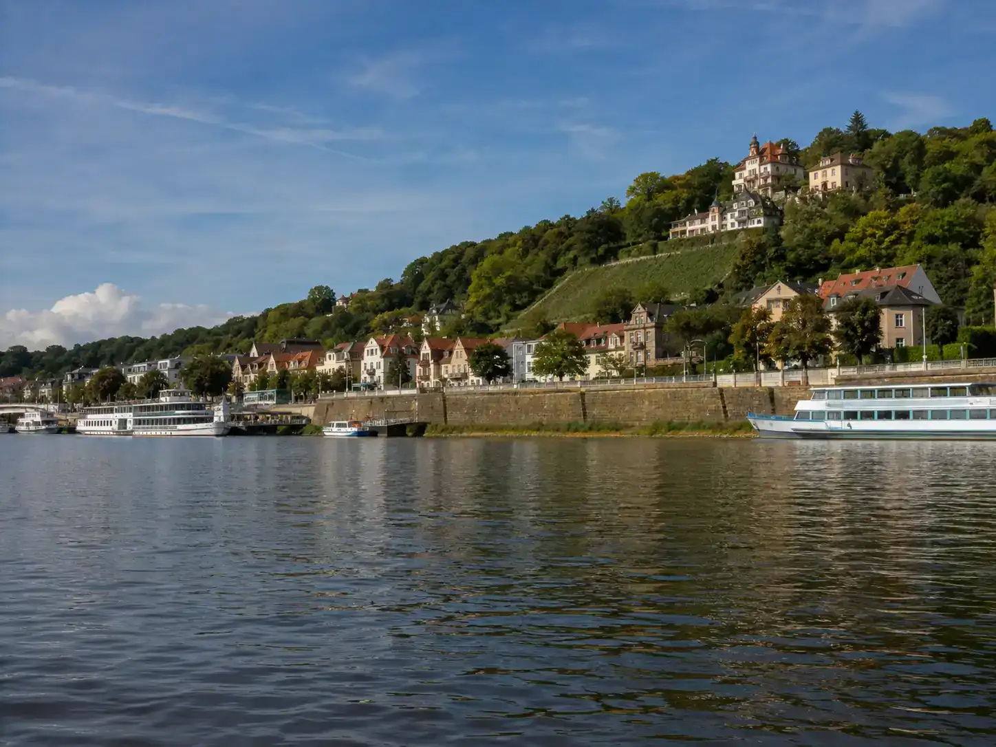 Elbe bei Dresden