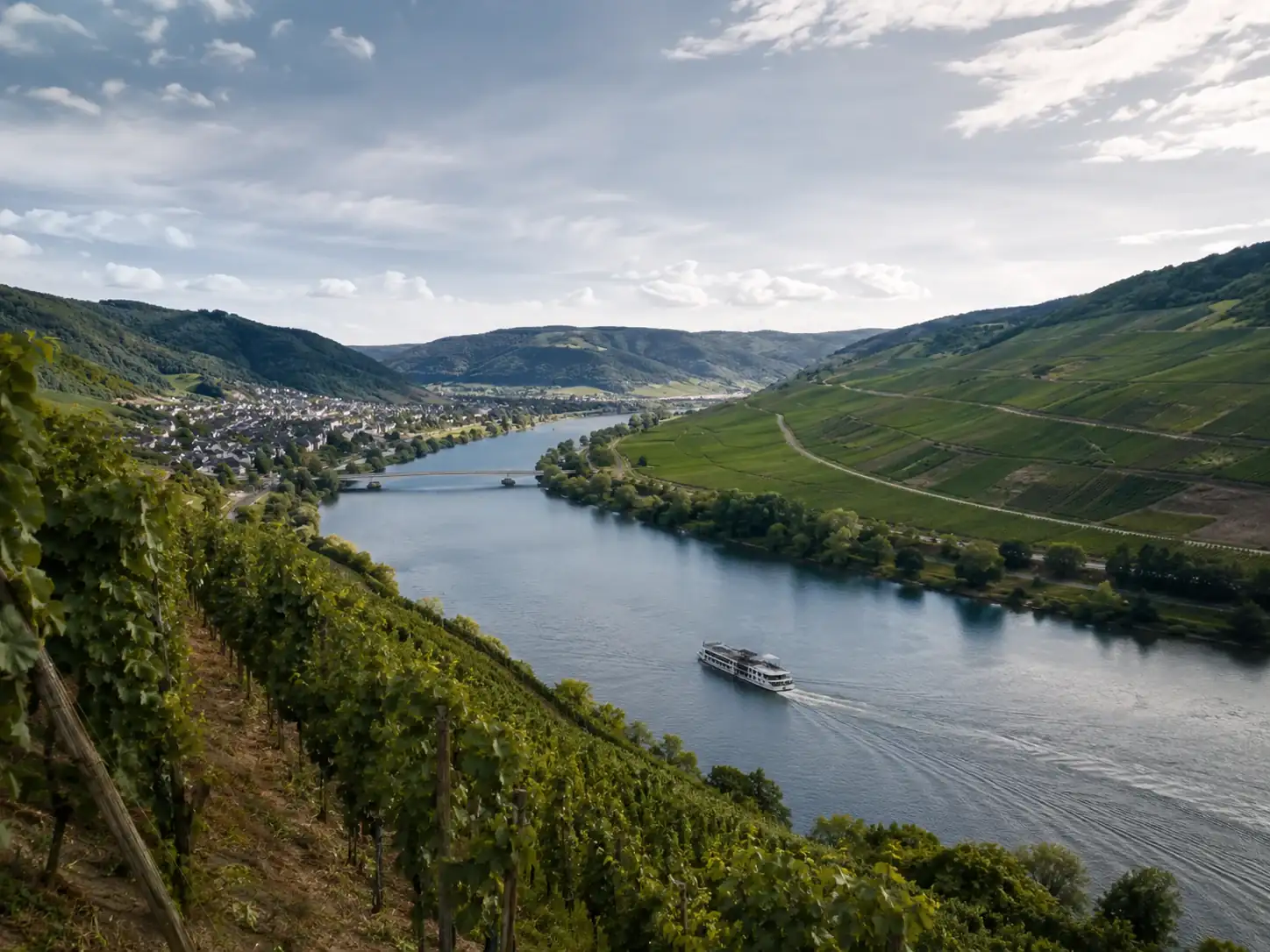 Mosel mit Weinbergen